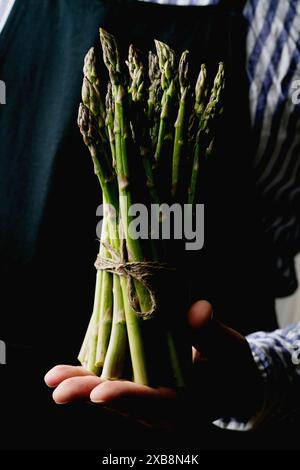Una persona con camicia a righe e grembiule scuro che tiene in mano un fascio di asparagi verdi freschi, legati con spago. Le immagini evidenziano il colore verde brillante di Foto Stock
