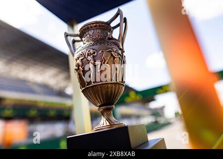 Trofeo durante la 24 ore di le Mans 2024, 4° round del Campionato Mondiale Endurance 2024 FIA, sul circuito des 24 Heures du Mans, l'11 giugno 2024 a le Mans, Francia - Photo Julien Delfosse / DPPI Foto Stock