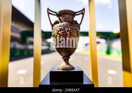 Trofeo durante la 24 ore di le Mans 2024, 4° round del Campionato Mondiale Endurance 2024 FIA, sul circuito des 24 Heures du Mans, l'11 giugno 2024 a le Mans, Francia - Photo Julien Delfosse / DPPI Foto Stock