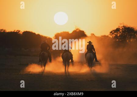 I cowboy di Pantaneiro tornano a casa al tramonto dopo una giornata di lavoro a cavallo. Pantanal, Brasile. Foto Stock