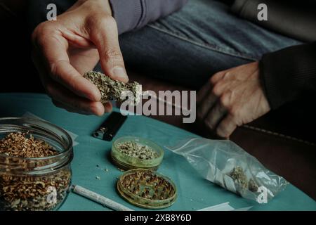 primo piano di un uomo con un bocciolo di cannabis in mano, seduto su un divano, accanto a un tavolo con un tritacarne con un po' di cannabis tritata e un barattolo con così Foto Stock