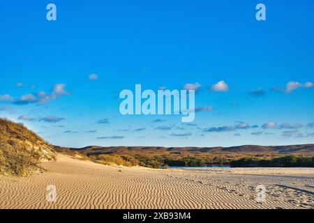 Increspature e impronte sulla sabbia della remota spiaggia alla foce di Yardie Creek, Cape Range National Park, Ningaloo Coast, Australia Occidentale Foto Stock
