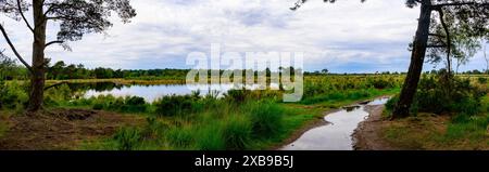 Una vista panoramica di un lago circondato da alberi verdi a Kalmthoutse Heide, Belgio Foto Stock