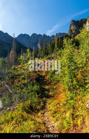 Valle della dolina di Javorova con vette sopra i monti alti Tatra in Slovacchia durante la mattina di settembre Foto Stock
