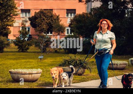 Camminatrice di cani con cani che si divertono nel parco cittadino. Foto Stock