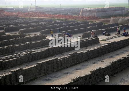I mattoni di fango del suolo in un campo aperto sono lasciati asciugare al sole prima di essere bruciati nei forni tradizionali, il Bangladesh Foto Stock