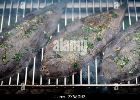 La suola di acqua salata un piatto delizioso Foto Stock