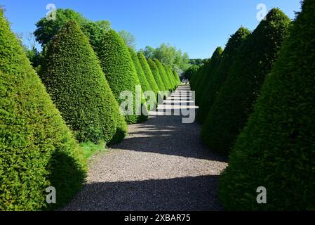 Ombre lunghe nel giardino posteriore di Littlecote House, un hotel Warner nel Wiltshire. Foto Stock