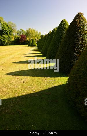 Ombre lunghe nel giardino posteriore di Littlecote House, un hotel Warner nel Wiltshire. Foto Stock