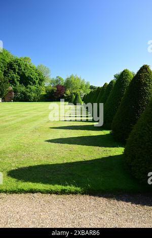 Ombre lunghe nel giardino posteriore di Littlecote House, un hotel Warner nel Wiltshire. Foto Stock