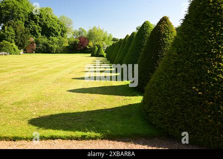 Ombre lunghe nel giardino posteriore di Littlecote House, un hotel Warner nel Wiltshire. Foto Stock