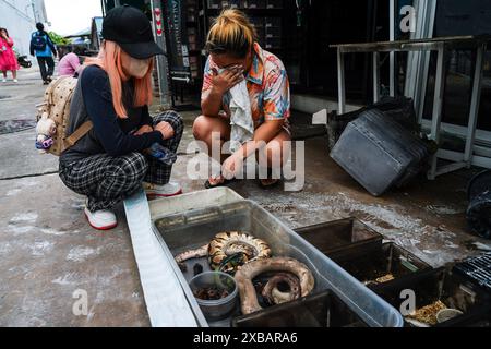 Due proprietari di un negozio di animali hanno visto piangere accanto al serpente che è stato trovato morto dall'incendio al Chatuchak Weekend Market. La vita di migliaia di animali da compagnia in vendita (uccelli, rettili, cani, gatti, pesci, ecc.) erano in pericolo. Si sospetta che un cortocircuito elettrico sia la causa principale dell'incendio. Non ci sono notizie di vittime umane. Il fuoco è iniziato intorno alle 04:10 ora locale di martedì (21:10 GMT di lunedì) e si è spento 30 minuti dopo. Il mercato di Chatuchak è anche il più grande e conosciuto anche come i mercati del fine settimana della Thailandia. Sostiene di attirare quasi 200.000 turisti ogni sabato e domenica. Foto Stock