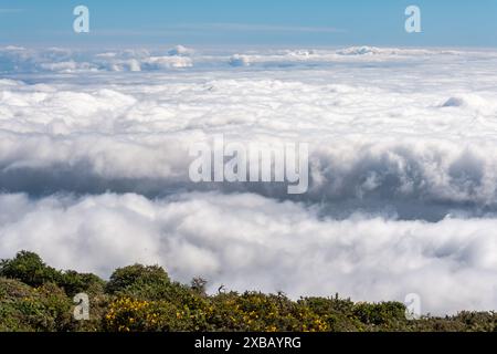 Mare di nuvole sull'oceano tra le Isole Canarie da la Palma, Foto Stock