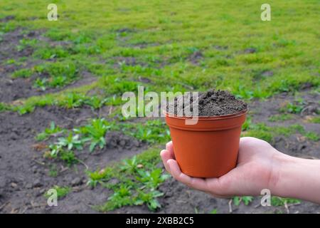 Vaso di terra nella mano dei contadini. Lavoro nel giardino del cottage Foto Stock