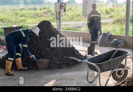 GHANA, regione di Ashanti, Kumasi, impianto di biogas da rifiuti a energia di Gyankobaa, stazione di compostaggio / Gyankobaa W2E Biogasanlage, Kompostwerk Foto Stock