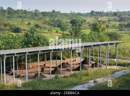 GHANA, regione di Ashanti, Kumasi, Gyankobaa W2E Biogas e progetto solare, stazione di compostaggio sotto tetto solare / Gyankobaa W2E Biogas und Solar Projekt, Kompostwerk unter Solardach Foto Stock