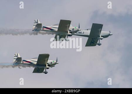 Team Raven al Temps Des Helices Air Show 2024 a la Ferte-Alais, Francia Foto Stock