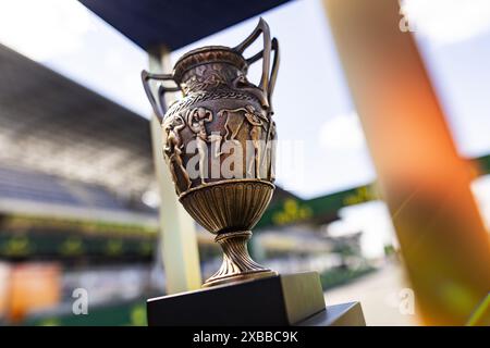 Trofeo durante la 24 ore di le Mans 2024, 4° round del Campionato del mondo Endurance FIA 2024, sul circuito des 24 Heures du Mans, l'11 giugno 2024 a le Mans, Francia Foto Stock