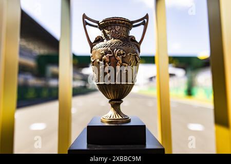 Trofeo durante la 24 ore di le Mans 2024, 4° round del Campionato del mondo Endurance FIA 2024, sul circuito des 24 Heures du Mans, l'11 giugno 2024 a le Mans, Francia Foto Stock