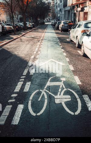 Ripresa verticale di una pista ciclabile segnata da simboli e frecce bianche, fiancheggiata da auto e alberi parcheggiati, sotto la luce soffusa del sole mattutino. Urbano c Foto Stock