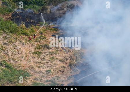 Incendio su larga scala di erba secca vicino alla foresta, spento con regali attraverso il tubo di un camion antincendio. Vista dall'alto dell'antenna. Foto Stock