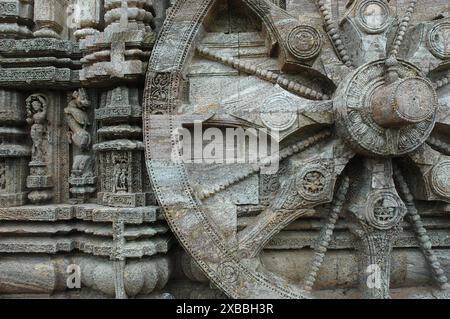 Il Tempio del Sole di Konark è il culmine dell'architettura del tempio di Orissan e uno dei monumenti più incredibili dell'architettura religiosa al mondo. Costruito dal re Narasimhadeva nel XIII secolo, l'intero tempio è stato progettato a forma di un colossale carro con sette cavalli e ventiquattro ruote, che trasportano il dio del sole, Surya, attraverso il cielo. Surya è stata una divinità popolare in India fin dal periodo vedico. Il tempio è un sito patrimonio dell'umanità e una delle sette meraviglie dell'India. Konark, Puri, Orissa, India. Foto Stock