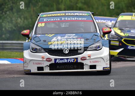 Mikey Doble, Vauxhall Astra, Evans Halshaw Power Maxed Racing, BTCC, British Touring Car Championship, round 10, 11 e 12 dei 2024 mari Foto Stock