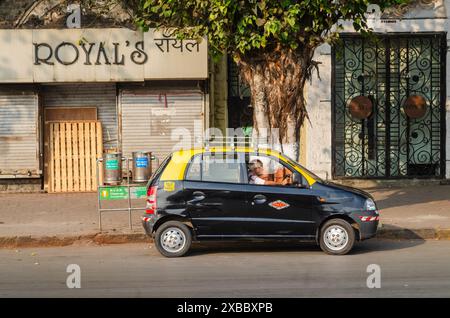 Un tassista che legge un giornale su un taxi taxi taxi giallo e nero a Mumbai, India Foto Stock