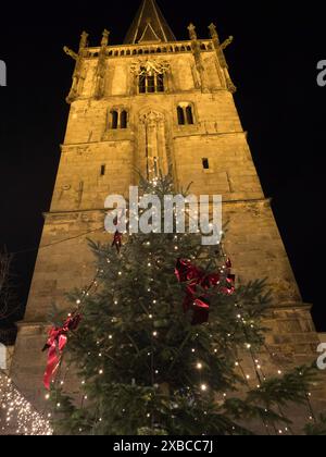 Grande albero di Natale illuminato di notte di fronte a una chiesa storica, Ahaus, Muensterland, Renania settentrionale-Vestfalia, Germania Foto Stock