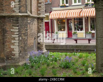 Giardino con fiori di fronte ad un vecchio edificio in mattoni e una strada con edifici e vetrine, Delft, Paesi Bassi Foto Stock