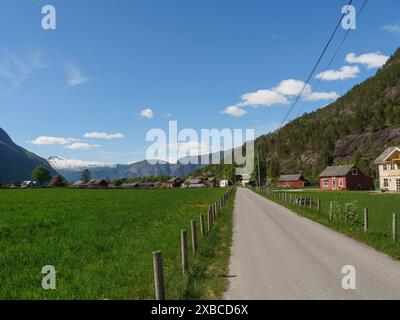 Una strada di campagna che attraversa un'area rurale con prati verdi e montagne, Eidfjoerd, Norvegia, Scandinavia Foto Stock