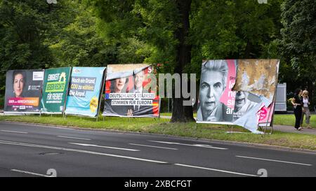 I manifesti elettorali dei partiti Alleanza Sahra Wagenknecht, Verdi, CDU, SPD e FDP si trovano sul bordo di una strada a Francoforte sul meno Foto Stock