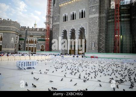 La Mecca, Arabia Saudita - 31 maggio 2024: Pellegrini Hajj e Umrah che camminano fino a Masjidil Haram, grande Moschea della Mecca con molte colombe in primo piano. Hajj 2 Foto Stock
