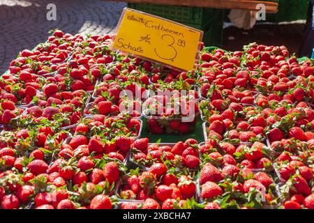 Fragole fresche (Fragaria) con etichetta del prezzo in vassoi in una bancarella di mercato, Brema, Germania Foto Stock