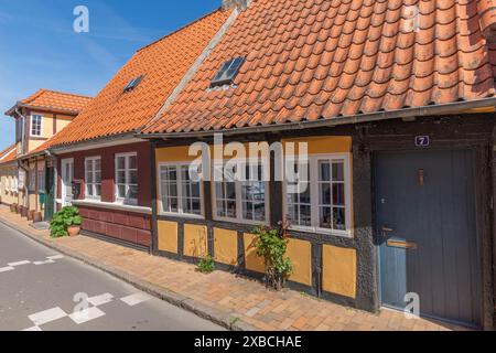 Faborg, Faaborg, pittoresca città vecchia con case colorate, case a graticcio, case basse con tetti spioventi, Hautuer, piante, Fyn, isola di Funen, a sud Foto Stock