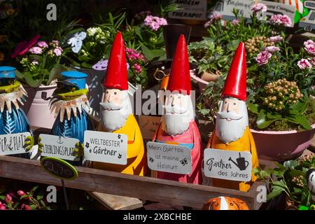 Gnomi da giardino colorati di fronte a un negozio, Leer, Frisia orientale, Germania Foto Stock