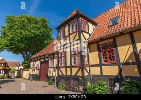 Faborg, Faaborg, pittoresca città vecchia con case colorate, vecchia farmacia, albero, case a graticcio, cancello in legno, ciottoli, Fyn, isola di Foto Stock