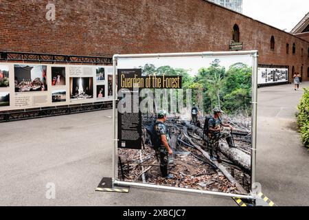 Brooklyn, Stati Uniti. 11 giugno 2024. Mostra fotografica Photoville al Brooklyn Bridge Park di New York. (Foto di Michael Brochstein/Sipa USA) credito: SIPA USA/Alamy Live News Foto Stock