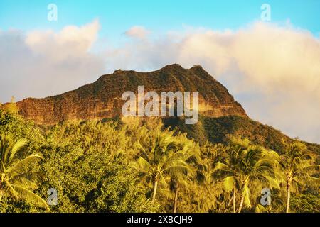 Una maestosa montagna sorge tra alberi lussureggianti e palme in uno splendido paesaggio naturale che mostra vegetazione e ambiente sereno Foto Stock