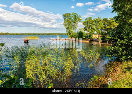 Baia ricoperta di canne e barche sull'acqua e al largo della costa Foto Stock