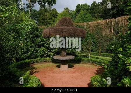 Giardino botanico Terra nostra a Furnas, isola di Sao Miguel, Azzorre, Portogallo Foto Stock