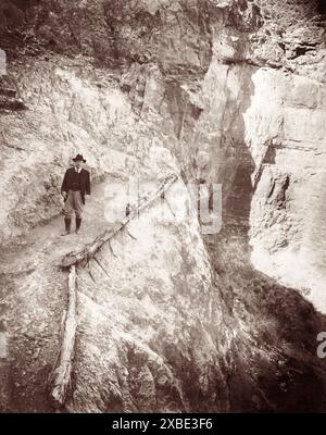 Theodore Roosevelt (26° presidente degli Stati Uniti) a Jacob's Ladder sul Bright Angel Trail nel Grand Canyon nel maggio 1911. (USA) Foto Stock