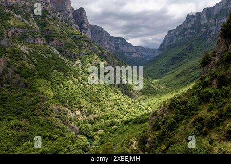 Una vista panoramica della Gola di Vikos in Grecia, che mostra la lussureggiante vegetazione del fondovalle circondata da torreggianti scogliere rocciose. Foto Stock