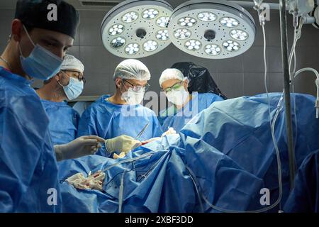 Procedura chirurgica in corso con i professionisti medici Foto Stock