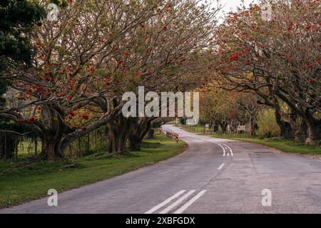 Lovemore Park, Gqeberha, Sudafrica. Foto Stock