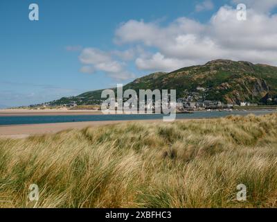 Traghetto passeggeri Afon Mawddach per Barmouth, Gwynedd, Galles, Regno Unito Foto Stock