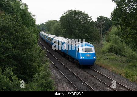 Treno diesel Intercity 125 HST nella livrea Pullman Midland, Hatton Bank, Warwickshire, Regno Unito Foto Stock