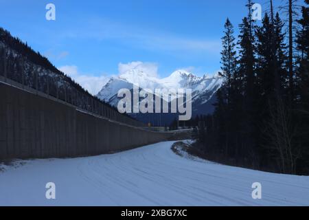 Una strada innevata di montagna con alti pini e un muro di cemento sotto un cielo blu. Foto Stock