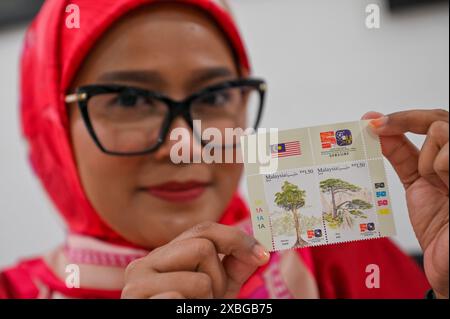 (240612) -- PECHINO/HONG KONG, 12 giugno 2024 (Xinhua) -- Una persona mostra i francobolli che celebrano il 50° anniversario dell'instaurazione di legami diplomatici tra Malesia e Cina a Kuala Lumpur, Malaysia, 31 maggio 2024. (Foto di Chong Voon Chung/Xinhua) Foto Stock