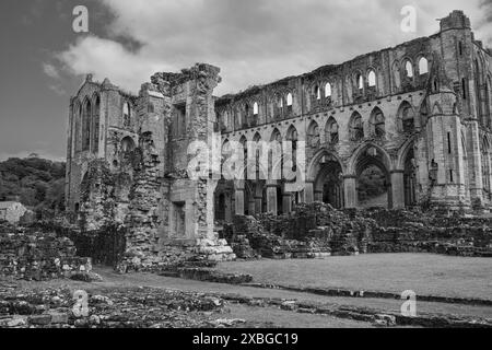 Le rovine dell'abbazia di Rievaulx vicino a Helmsley nel North Yorkshire, Inghilterra, Regno Unito. Originariamente costruito nel 1132, nel XII secolo. Fotografia in bianco e nero. Foto Stock